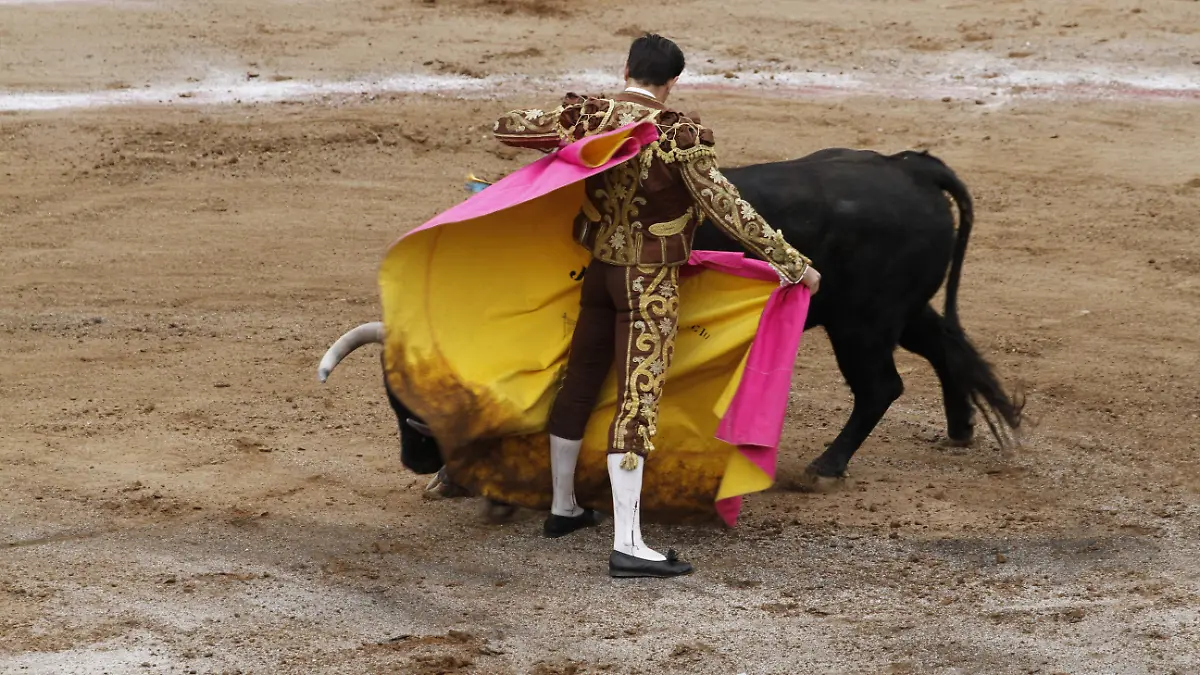 TOROS (2)